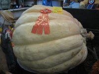 Tunbridge Fair 030.jpg