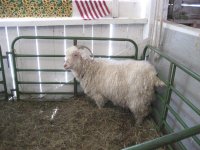 Tunbridge Fair 045.jpg
