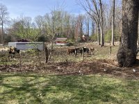 IMG_0254.jpeg