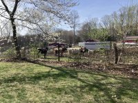 IMG_0253.jpeg