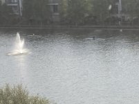 IMG_4759.JPG