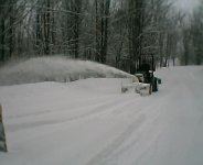 603598-Clearing below Birch.jpg