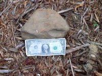 431672-mississippi rock_0003.jpg
