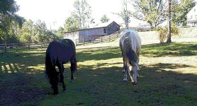 433258-sandp.jpg