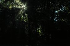 IMG_9127.jpg
