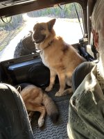 IMG_0546.jpeg