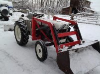 snow Bison 250.jpg