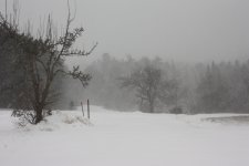 IMG_2696.JPG