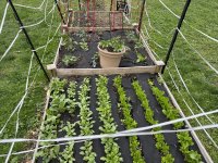 IMG_4582[1].JPG
