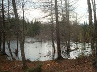DSC02890.jpg