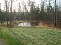DSC02895.jpg