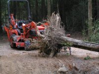 521510-Tree Removal.JPG