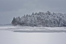 _MG_2996_2.JPG
