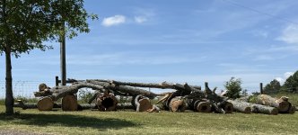 IMG_1433.jpeg