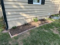 IMG_4600[1].JPG