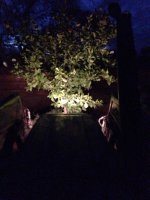 image-1169360404.jpg