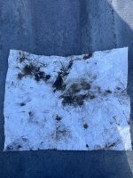 IMG_5455.jpeg
