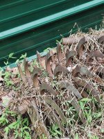 image000001.jpg