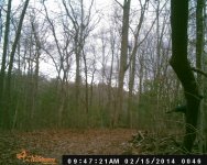 DSC_0051.JPG