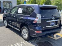 IMG_4631[1].JPG