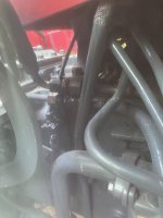 IMG_1361.jpeg