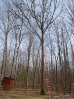Timberjack Photos 04-06-2013 005.jpg