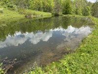IMG_4677[1].JPG