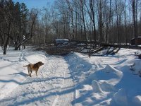 522932-Snow Removal 1.jpg