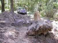 756771-Winch Stump.jpg