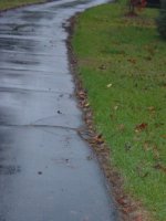 523215-Edged & cleaned side.JPG