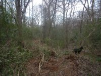 571341-Creek Trail, Jan 05.jpg