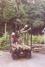 483605-wood delivery.JPG