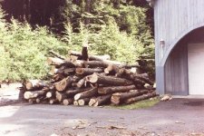 483606-woodstack.JPG