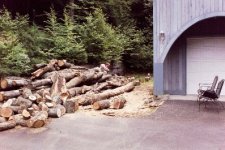 483617-ML saws pile2.JPG
