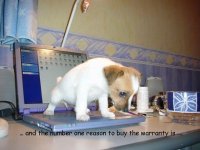 525310-NumberOneReasonToBuyTheWarranty.jpg