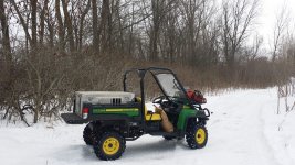 20140309_144331gator.jpg