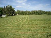 2014 First cutting hay 005.jpg