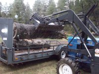 Firewood -load 3 007.jpg