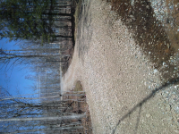 ForumRunner_20140428_185756.png
