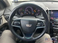 25060-10.jpg