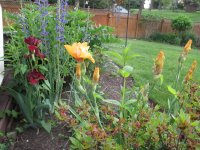 IMG_0612.JPG