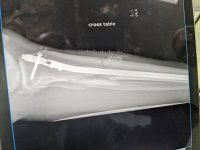 PXL_20250605_202934102.jpg