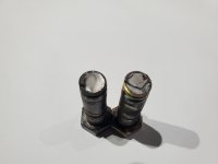 20250606_095558.jpg