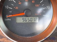 11028-6.jpg