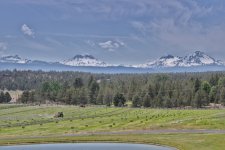 2025 Hay First Cut 19.jpg