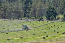 2025 Hay First Cut 20.jpg