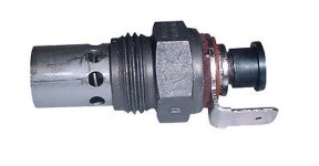 image-773090009.jpg