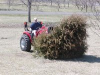 619046-Tractor  vs Tree 002.jpg