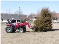 619048-Tractor  vs Tree 004.jpg