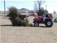 619050-Tractor  vs Tree 005.jpg